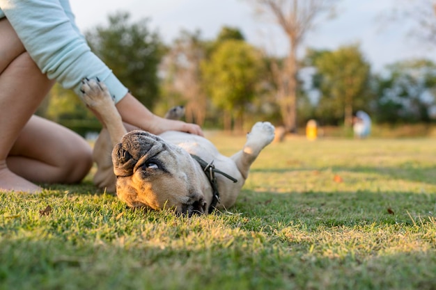 Donna che accarezza il suo cane sul campo