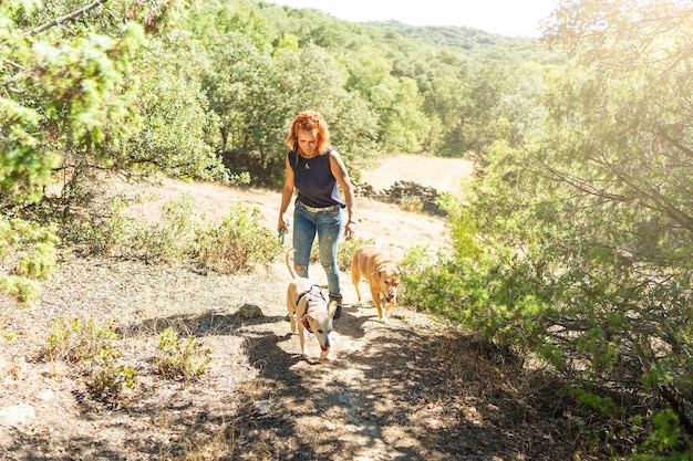 Donna che cammina cani lungo un sentiero in montagna