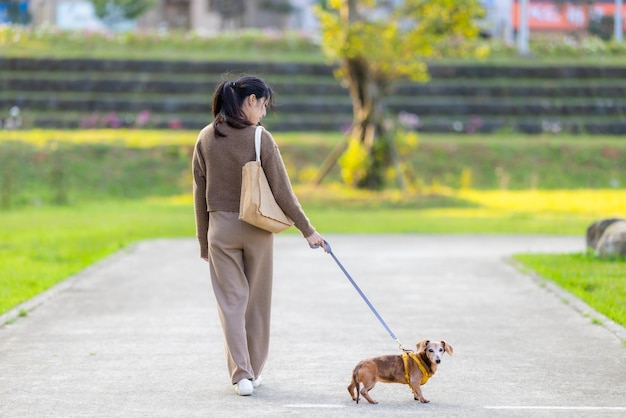 Donna che cammina con il suo cane dachshund nel parco