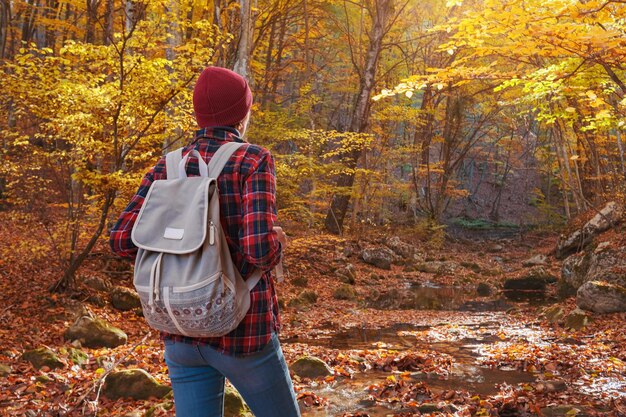 Donna che fa un'escursione guardando la vista panoramica del paesaggio del fogliame autunnale