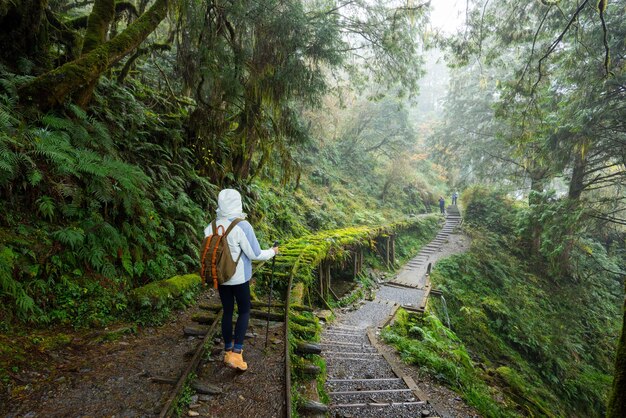 Donna che fa un'escursione nella foresta nebbiosa di Taipingshan Jianqing Huaigu Trail