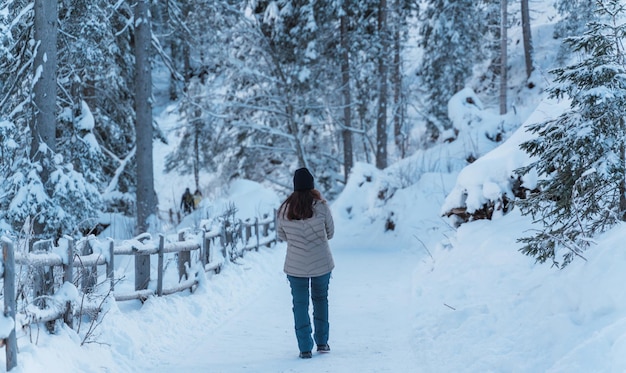 Donna che fa una passeggiata nel mezzo di una foresta innevata