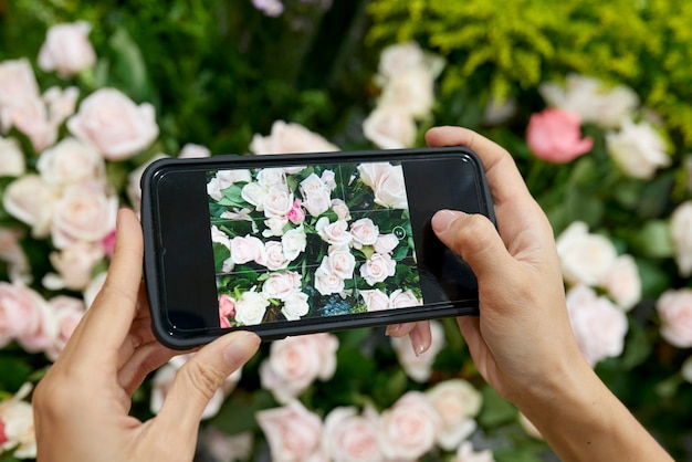 Donna che fotografa le rose