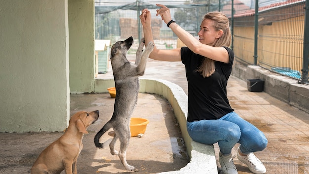 Donna che gioca con adorabili cani al riparo