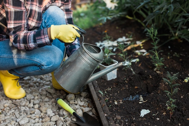 Donna che innaffia il giardinaggio biologico fresco prodotto agricolo e il concetto di primavera e bio