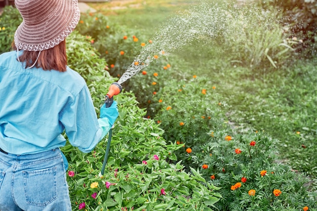 Donna che innaffia le piante spruzzando acqua sull'erba sul cortile Ragazza che usa l'irrigazione del tubo da giardino