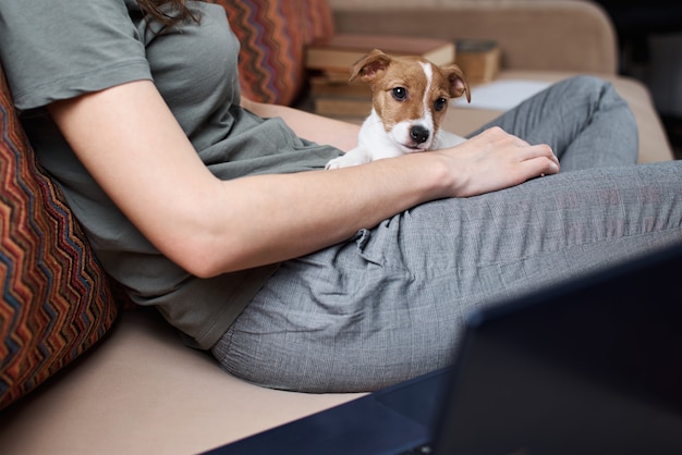 Donna che lavora al computer portatile e jack russel terrier cucciolo di cane sul divano. Lavoro a distanza dal concetto di casa. Buoni rapporti con animali domestici