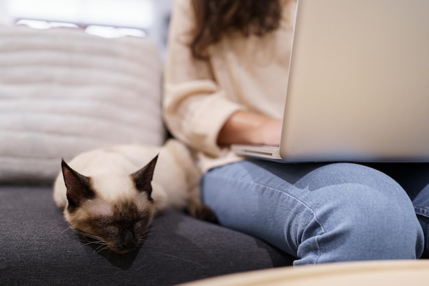 Donna che lavora da casa con gatto gatto addormentato sulla tastiera del computer portatile assistente gatto che lavora al computer portatile