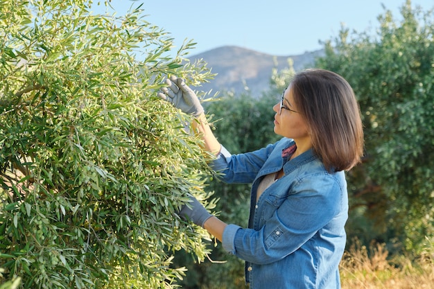 Donna che lavora nel giardino di ulivi, sfondo di montagna