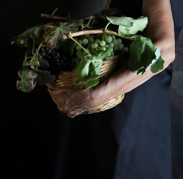 Donna che mantiene con un cesto di braccio pieno di uva