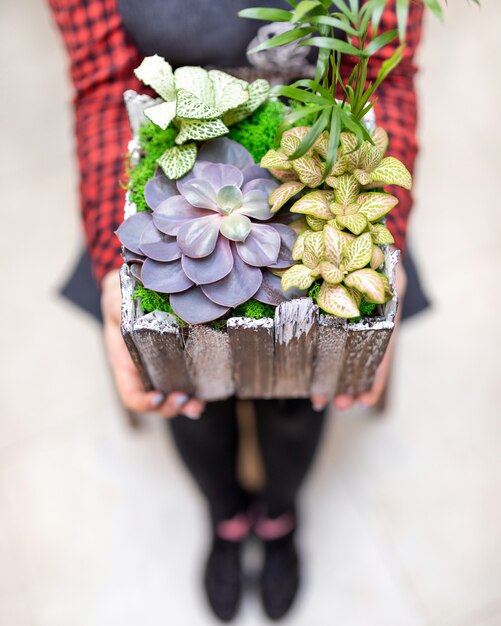 Donna che mantiene la pianta del terrario in legno