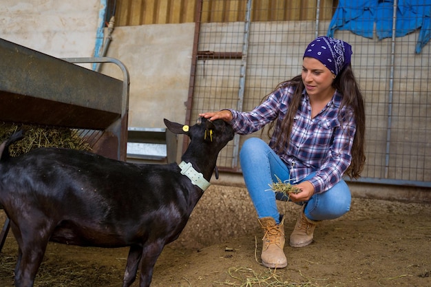 donna che nutre le capre in una vecchia fattoria