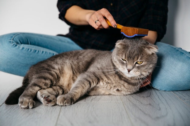 Donna che pettina gatto con pennello a casa