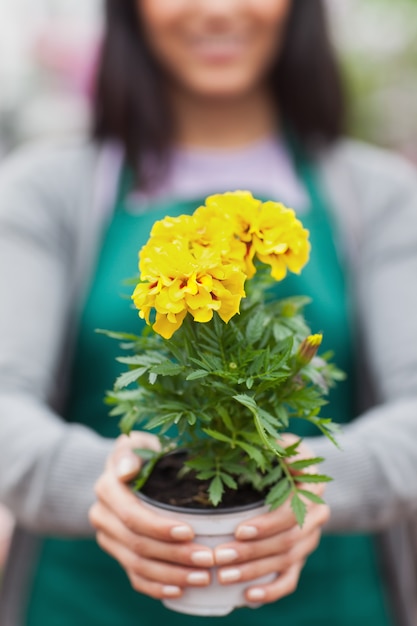 Donna che presenta un fiore giallo