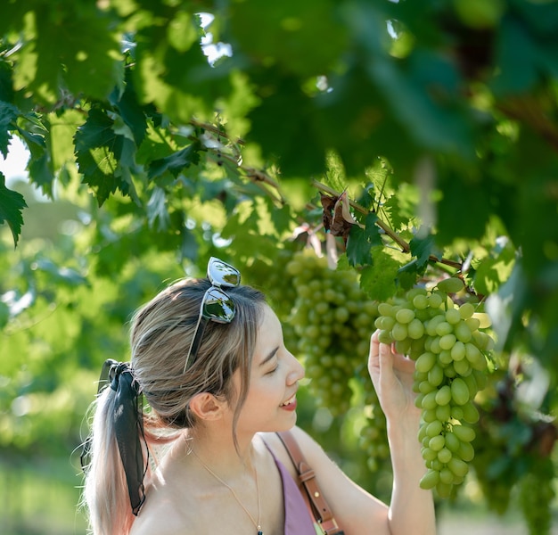 Donna che raccoglie l'uva all'aperto in vigna.