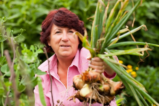 Donna che raccoglie le cipolle in giardino