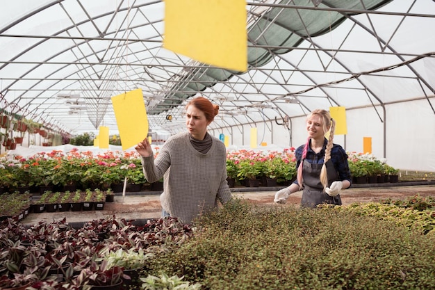 donna che sceglie le piante nella serra del centro commerciale del giardino e il giovane fiorista che la aiuta