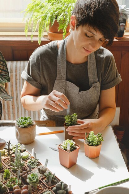 Donna che scrive etichette per piantine di piante succulente