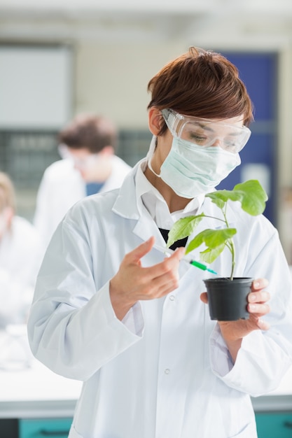 Donna che sta al laboratorio che tiene una pianta che aggiunge chimica verde