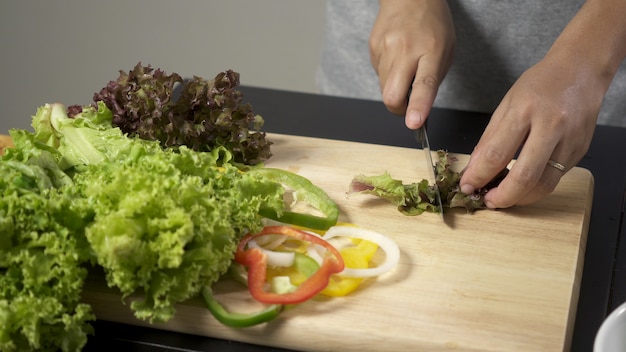 Donna che taglia verdura di insalata fresca per produrre insalata.