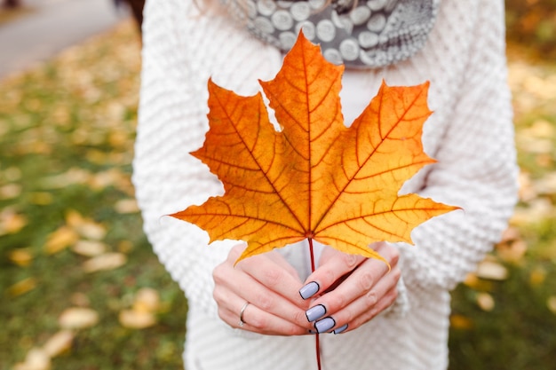 Donna che tiene grande foglia di autunno