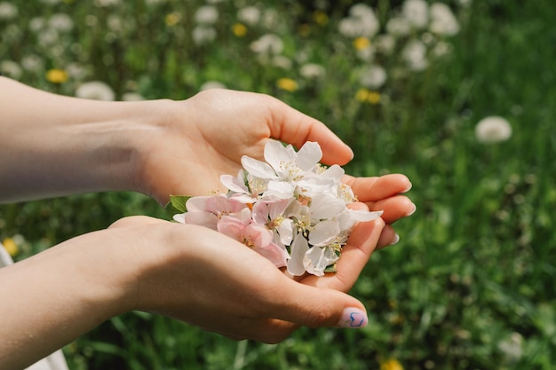 Donna che tiene i fiori di primavera nelle sue mani fiori di primavera