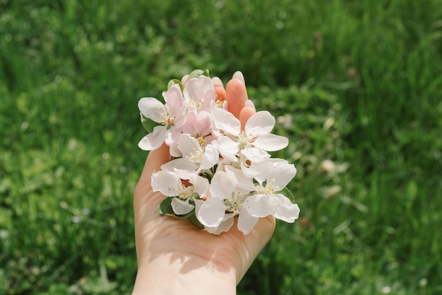 Donna che tiene i fiori di primavera nelle sue mani fiori di stagione primaverile