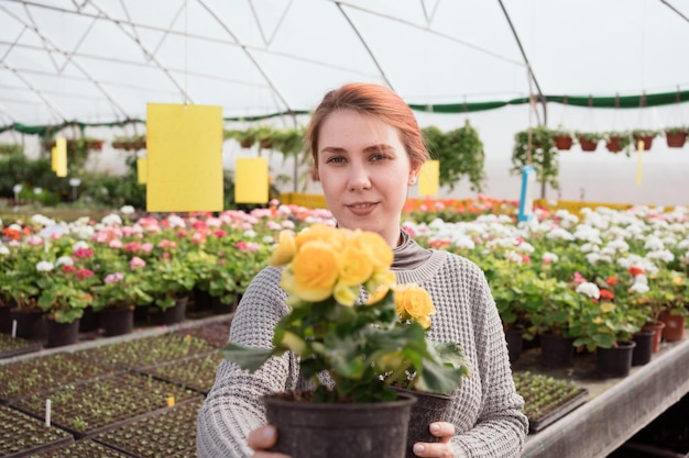 Donna che tiene le piante di begonia nelle mani che acquistano nel centro commerciale del giardino