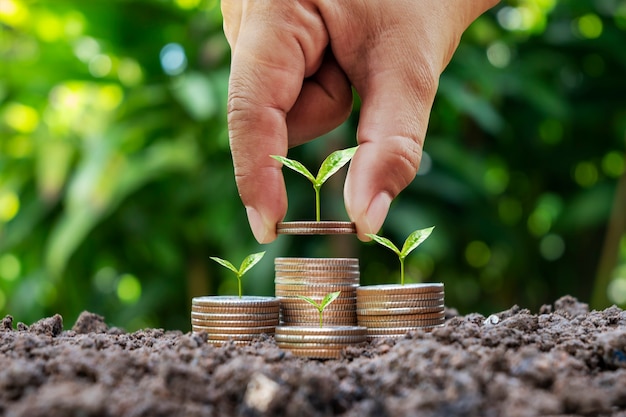 Donna che tiene moneta con albero sulla moneta per risparmiare denaro e sfondo verde sfocato della natura, concetto di investimento ambientale.