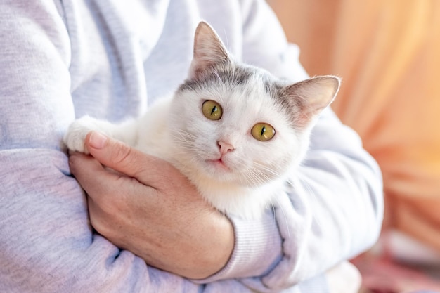 Donna che tiene un gatto maculato bianco amore per gli animali