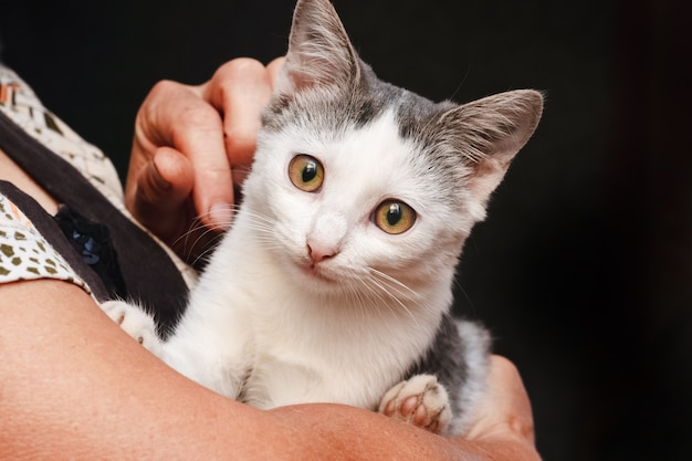 Donna che tiene un piccolo gatto tra le braccia