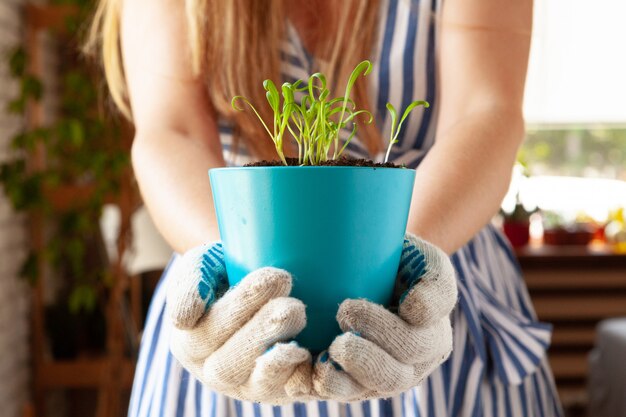 Donna che tiene un vaso con un germoglio in sue mani. Concetto di giardinaggio