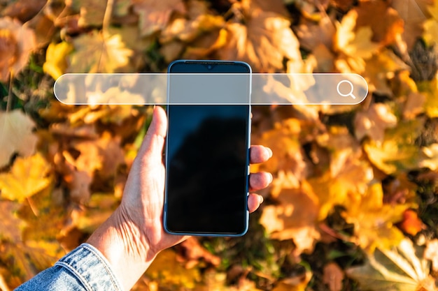 Donna che utilizza smartphone alla ricerca di informazioni, foglie colorate di sfondo autunnale. rete internet.