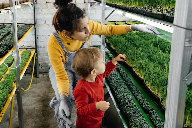 Donna con bambino che lavora in fattoria al coperto microgreen