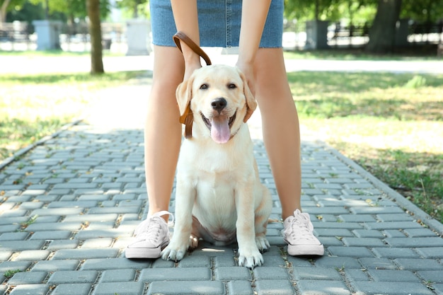 Donna con cane Labrador all'aperto