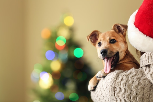 Donna con cappello da Babbo Natale che tiene alla spalla un piccolo cane carino e divertente sulla superficie di Natale