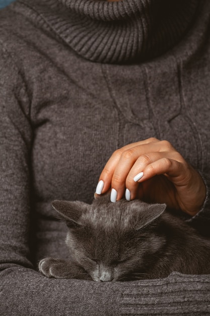 Donna con gatto grigio domestico nelle mani