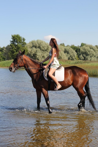 Donna con grande cavallo marrone che fa il bagno in mare