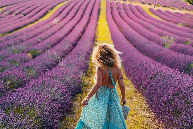 Donna con i capelli ricci che indossa un abito blu e tiene il cappello mentre si cammina in un campo di lavanda viola. Vista posteriore di una donna elegante in abito senza schienale in mezzo a un bellissimo campo di lavanda