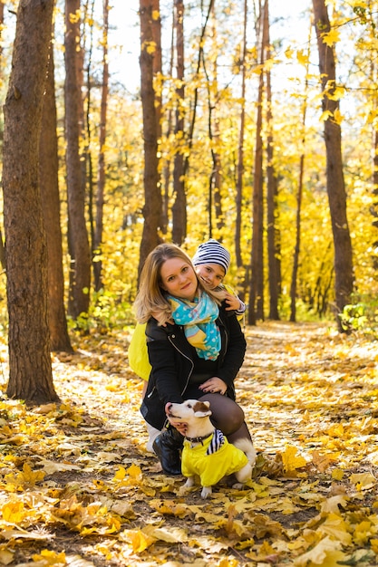 Donna con il suo cane al parco d'autunno. Ragazza che gioca con jack russell terrier all'aperto. Pet e persone