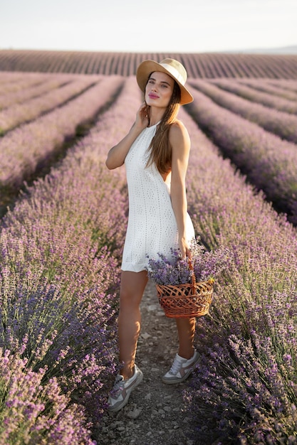 Donna con un cappello con un cesto di fiori che raccolgono in un campo di lavanda della Provenza al tramonto