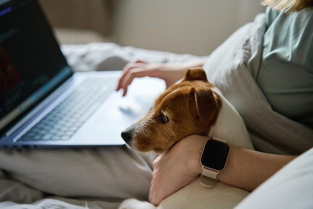 Donna con un simpatico cane che si rilassa a letto la mattina e usa il portatile per lavorare comodamente da casa