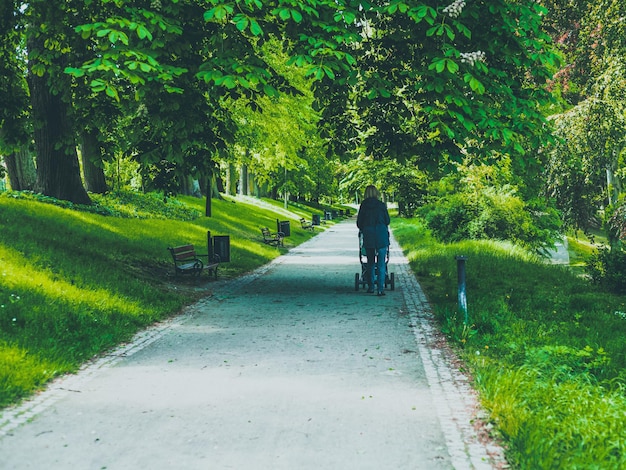 Donna con una carrozzina su un sentiero in un parco cittadino verde