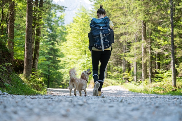 donna con uno zaino che fa un'escursione attraverso la bellissima foresta verde con il suo simpatico cagnolino.