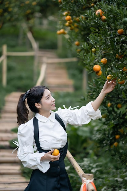 Donna contadina che raccoglie arancia accuratamente matura nel frutteto