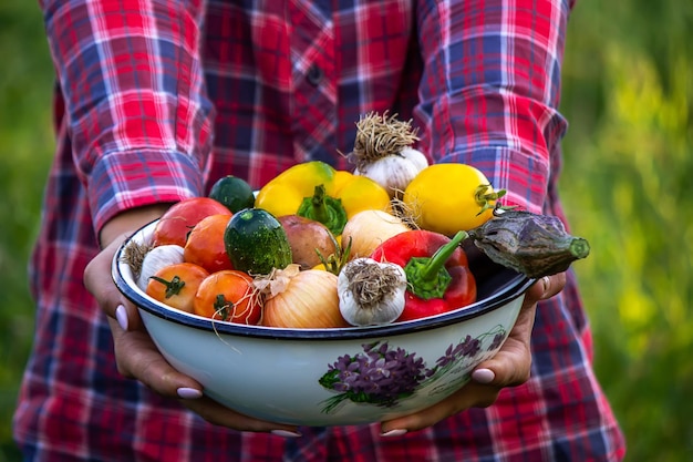 Donna contadina che tiene verdure fresche dalla fattoria carote cetrioli ravanelli mais aglio e peperoni nelle mani