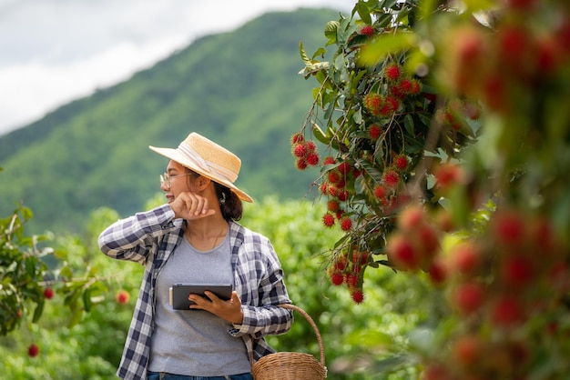 Donna Contadina stanca quando lavora con Tablet per il controllo della qualità della frutta Rambutan in agricoltura