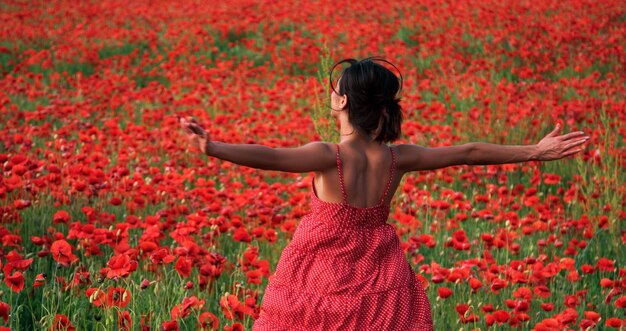 Donna del campo del papavero della molla di estate di bellezza nel ricordo del raccolto del giacimento di fiore o desig della molla di giorno di anzac