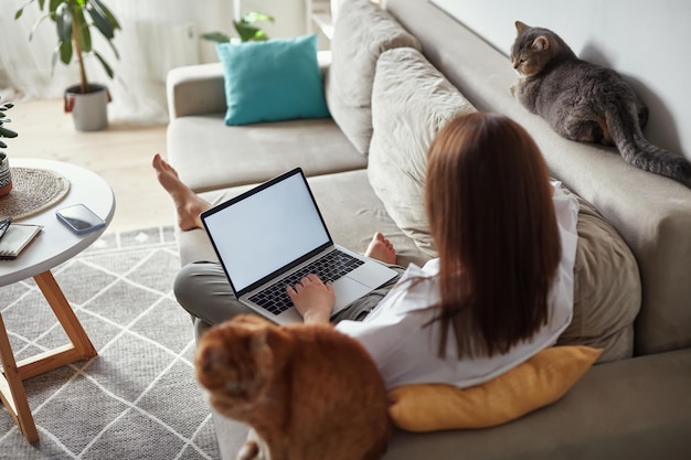 Donna del computer portatile dello schermo bianco del modello che utilizza il computer e due gatti dell'animale domestico che si trovano sul focu di vista posteriore del sofà a casa