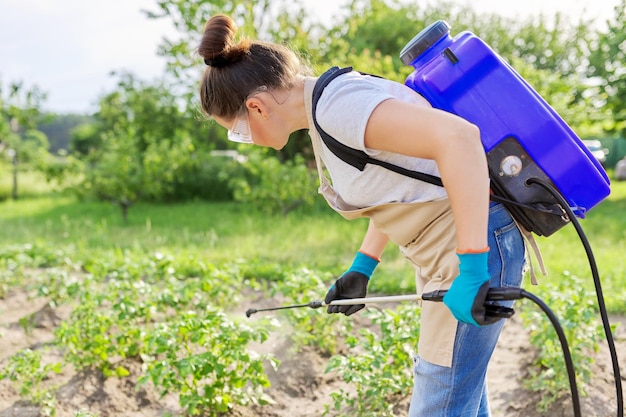 Donna dell'agricoltore che spruzza le piante di patate nell'orto